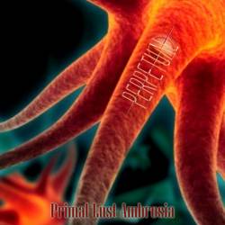 Perpetual (COL) : Primal Lust Ambrosia